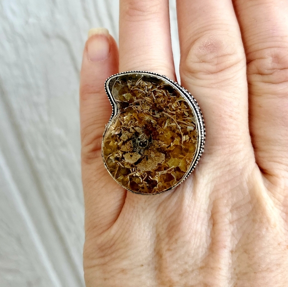 WOW New Ammonite Fossil 925 Silver Statement Ring. - Picture 4 of 8